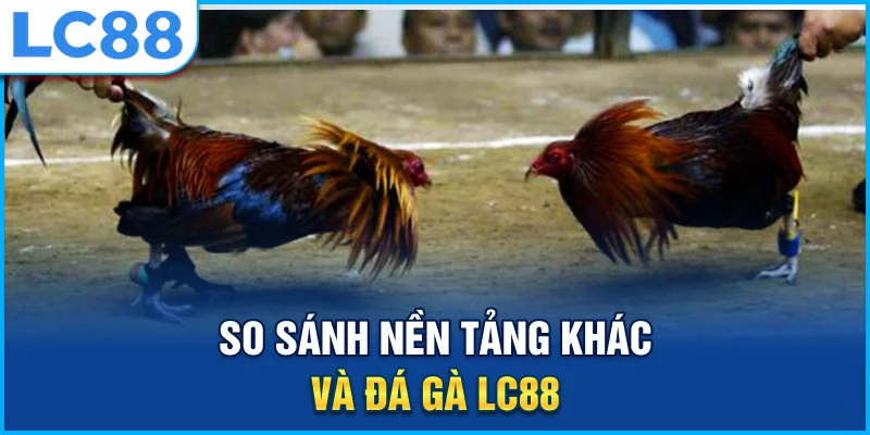 So sánh nền tảng khác và đá gà lc88