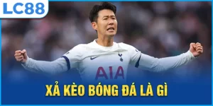 Ảnh xả kèo bóng đá